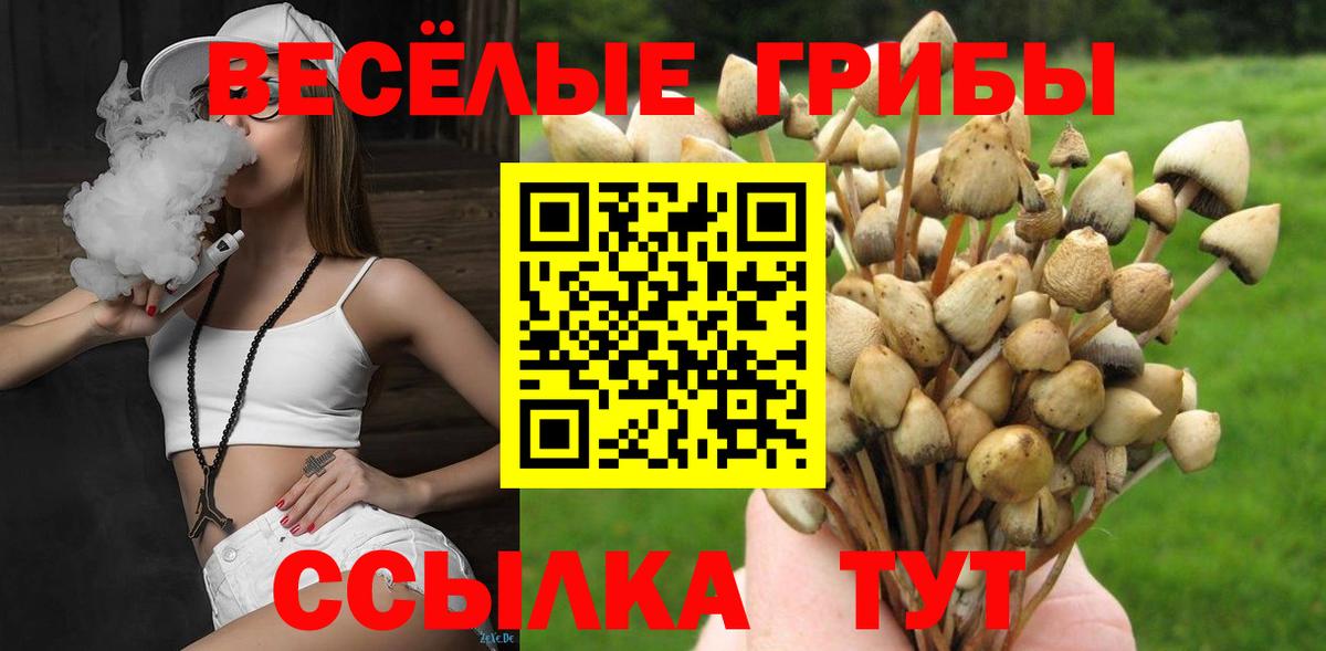 Псилоцибиновые грибы MAGIC MUSHROOMS Минусинск