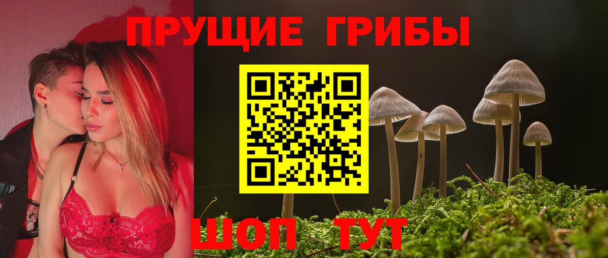 Галлюциногенные грибы прущие грибы  Галлюциногенные грибы ЛСД  Вход с VPN  Минусинск 